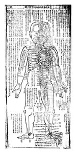 Acupunctuurkaart voor de voorkant van het lichaam, Japans, 19e eeuw