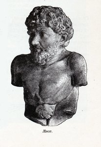 Aesopus, 1882