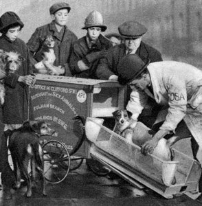 Ambulance van de Dispensary for Sick Animals of the Poor, Londen