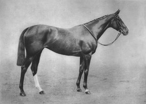 Americus Meisje, 1911