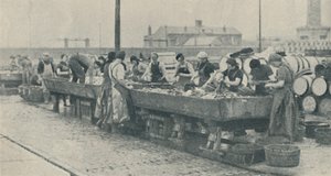 Een belangrijk deel van de industrie. Schotse meisjes druk bezig met het schoonmaken van vis in Yarmouth, 1937 door Unbekannt