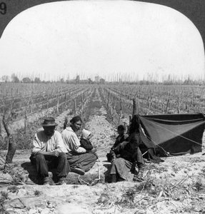 Een Italiaanse kolonist en zijn familie, Mendoza, Argentinië, jaren 1900 door Unbekannt