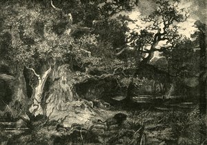 Een oud Duits bos, 1890