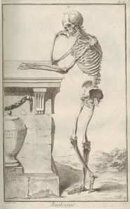 Anatomie. Uit Encyclopédie door Denis Diderot en Jean Le Rond d