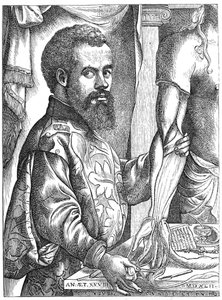 Andreas Vesalius, 16e-eeuwse Vlaamse anatoom