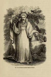 Aartsdruïde in zijn volledige gerechtelijke kostuum Uit het boek Oud Engeland: Een Picturaal Museum, 1845