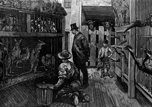 Bij Jamrachs, Londen, 1887