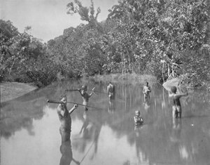 Australische Aboriginals die vissen spiesen door Unbekannt