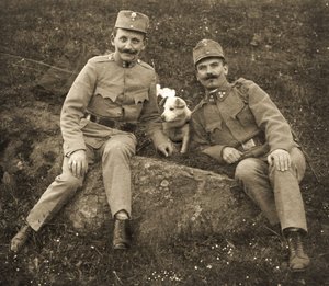 Oostenrijkse soldaten met een hond door Unbekannt