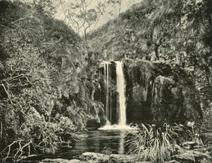Back Creek Falls, Buchan River, Victoria, 1901 door Unbekannt