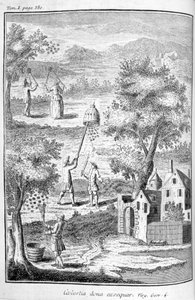 Bijenteelt, 1775 door Unbekannt