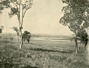 Black Swan Lagoon, nabij Warwick, Queensland, 1901