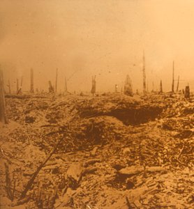 Bois du Chapitre, Vaux, Noord-Frankrijk, ca. 1914-ca. 1918 door Unbekannt