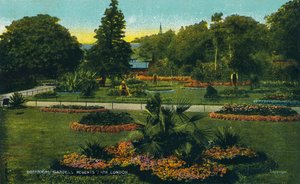 Botanische tuinen, Regents Park, Londen, ca. 1910 door Unbekannt