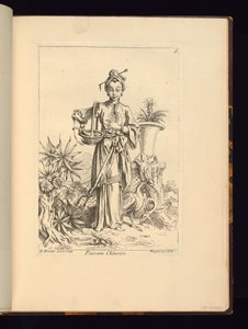 Chinese botanicus