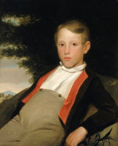 Jongen in een landschap