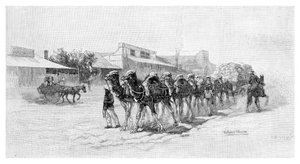 Kameelteam, Wilcannia, New South Wales, Australië, 1886