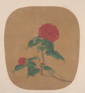 Camellia Bloemen door Unbekannt