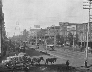 Canal Street, New Orleans, Louisiana, VS, ca. 1900 door Unbekannt