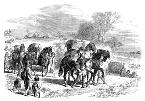 Brood naar Londen dragen op pakpaarden, ca. 1895 door Unbekannt