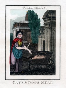 Katten- en hondenvlees!, Bethlem Hospital, Londen, 1805 door Unbekannt