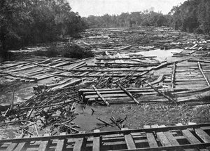 Cederstammen op de Tebicuary-Guazu-rivier drijvend langs de spoorbrug, Paraguay, 1911
