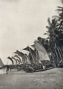 Ceylonese Zeilvissersboten met Uitloper, 1926