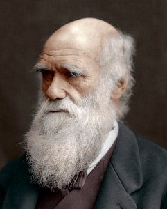 Charles Darwin, Britse natuuronderzoeker, 1878