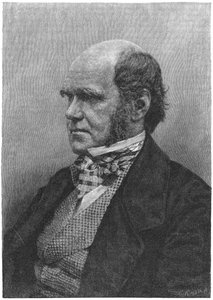Charles Darwin, Engelse natuuronderzoeker, 1884