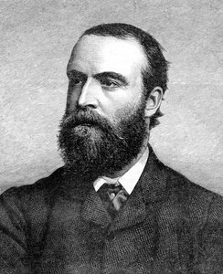 Charles Stuart Parnell, 19e-eeuwse Ierse politicus, ca. 1874-1891