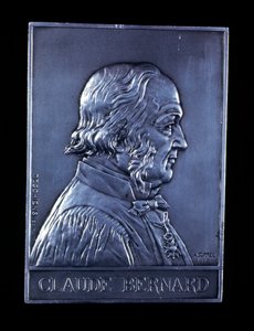 Claude Bernard, 19e eeuwse Franse fysioloog, 1913 door Unbekannt
