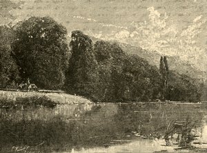 Cliefden Woods, 1898 door Unbekannt