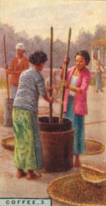 Koffie, 3. Het pellen van de bonen, Java, 1928 door Unbekannt