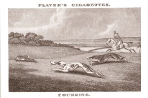 Coursing-11, 1924 door Unbekannt