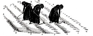 Vruchtwisseling: vrouwen die rapen uitdunnen, 1855