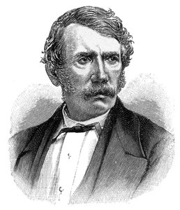 David Livingstone, 19e-eeuwse Schotse missionaris en ontdekkingsreiziger door Unbekannt