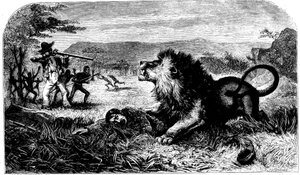 David Livingstone, gered van een leeuw door Mebalwe, een inheemse schoolmeester, 1857 door Unbekannt