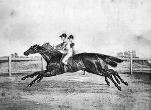 Dode hitte tussen Lanercost en Beeswing, 1835-1850, 1911