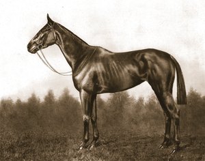 Verlegen, 1911