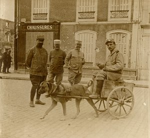 Hondenkar, Frankrijk, ca. 1914-1918 door Unbekannt