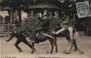 Ezel Tetu en Recalcitrant - Ansichtkaart gedateerd 1904 door Unbekannt