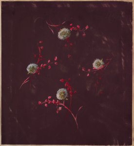Tekening, uit Saint Germain - Delen 1 & 2, ca. 1896 door Unbekannt