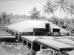 Copra drogen, Solomon Eiland, Fiji