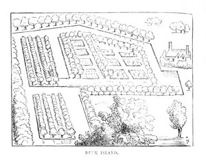 Eendeneiland, c1870 door Unbekannt