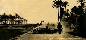 Egypte - Herder die naar huis rijdt door Unbekannt