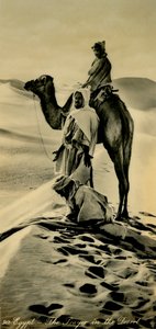 Egypte - Het gebed in de woestijn