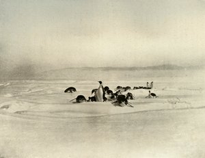 Keizers op de slee, ca. 1908, 1909 door Unbekannt