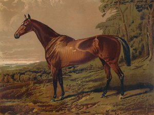 Fair Nell, ca. 1879 door Unbekannt