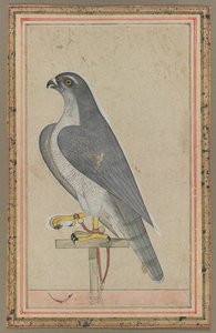 Valk, ca. 1770 door Unbekannt