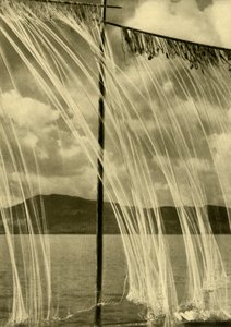 Visnetten, Attersee, Opper-Oostenrijk, c1935
